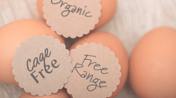 From ‘Free Range’ To ‘Free Roaming’ America’s Labeling